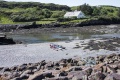 Low tide in the harbour at Port Mor on Muck.jpg